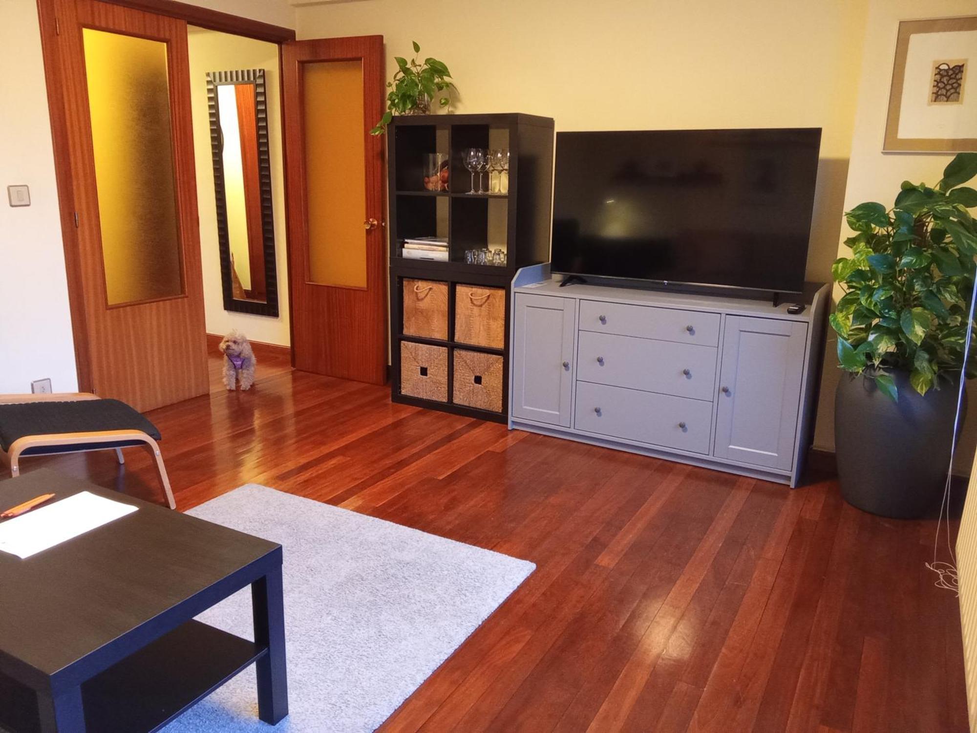 Andramari Tourist Home Parking& Wifi Аморебієта-Ечано Екстер'єр фото